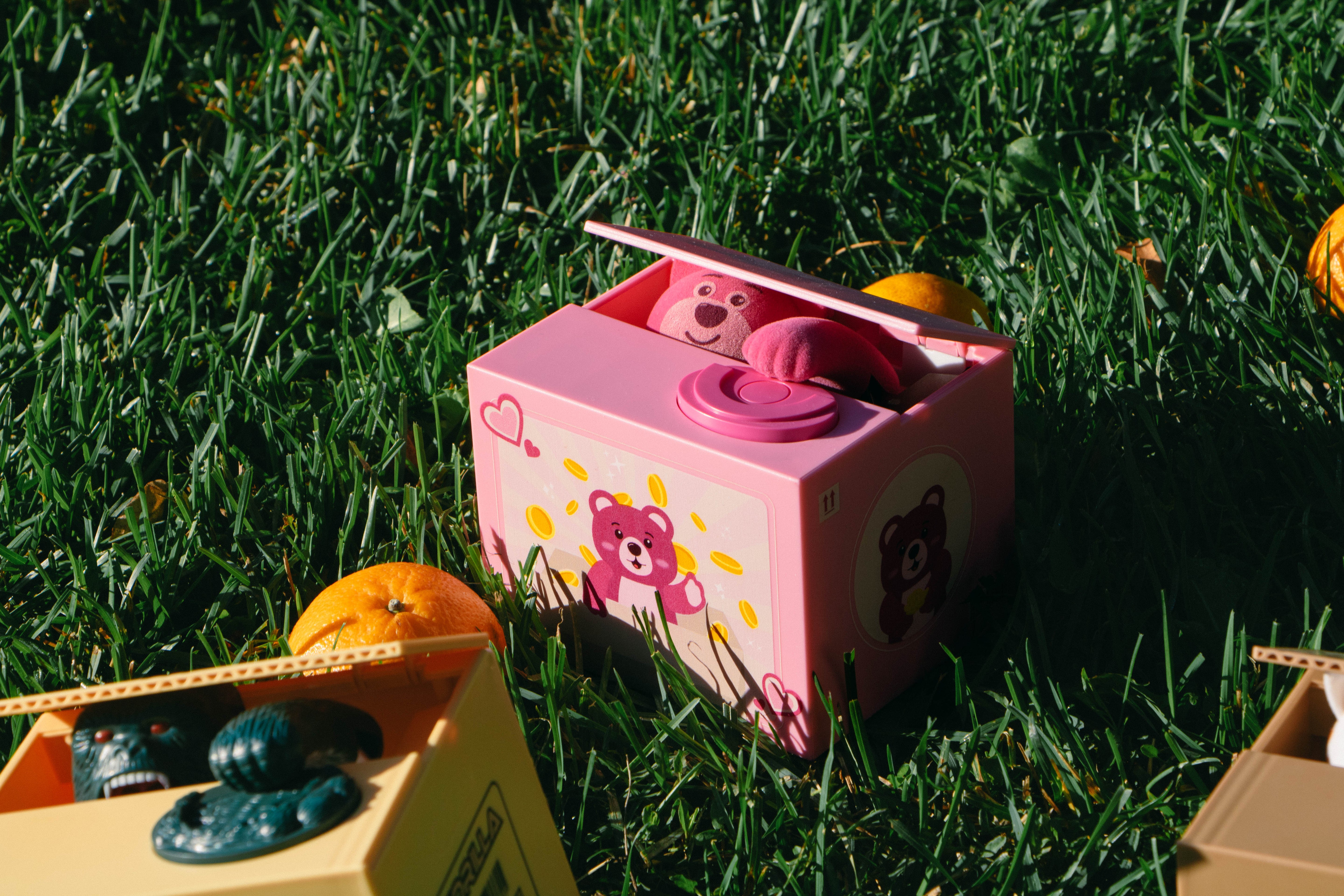 Pink Bear Grabbing Coin Bank
