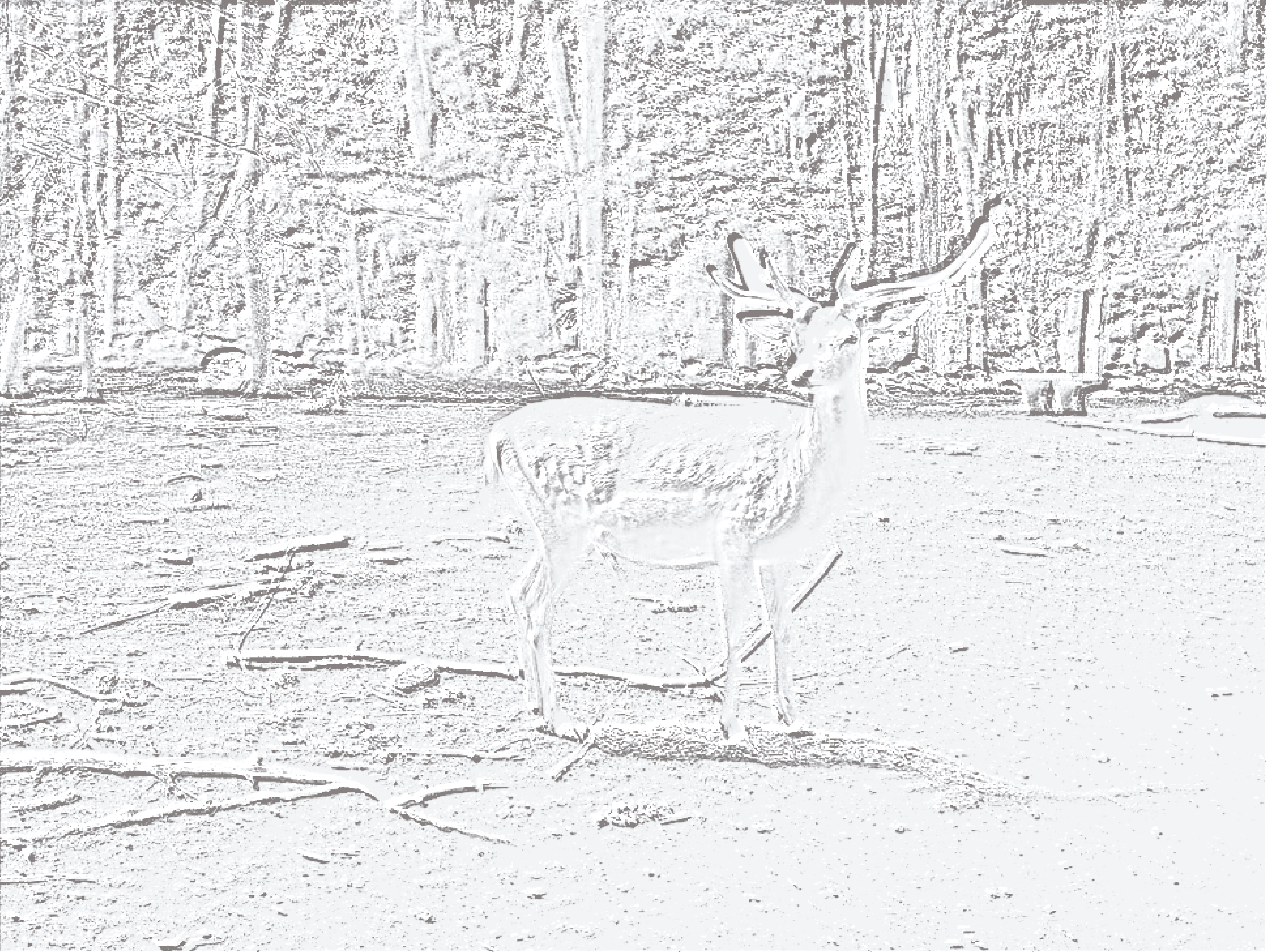 Rechargeable Digital Camera with Selfie Digital Screen