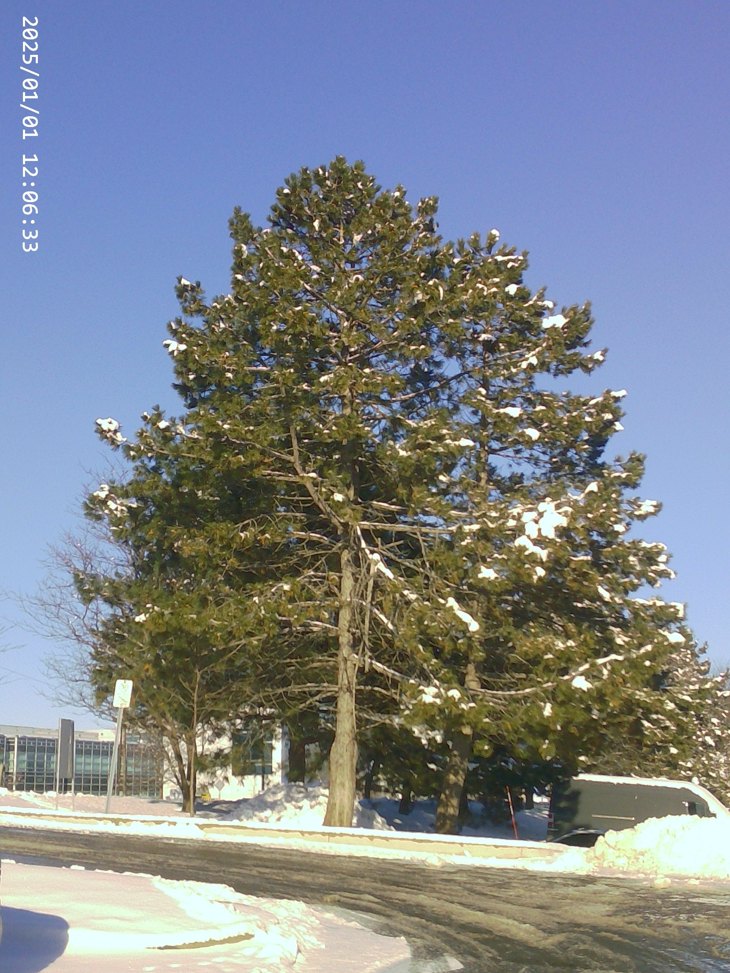 Rechargeable Digital Camera with Selfie Digital Screen