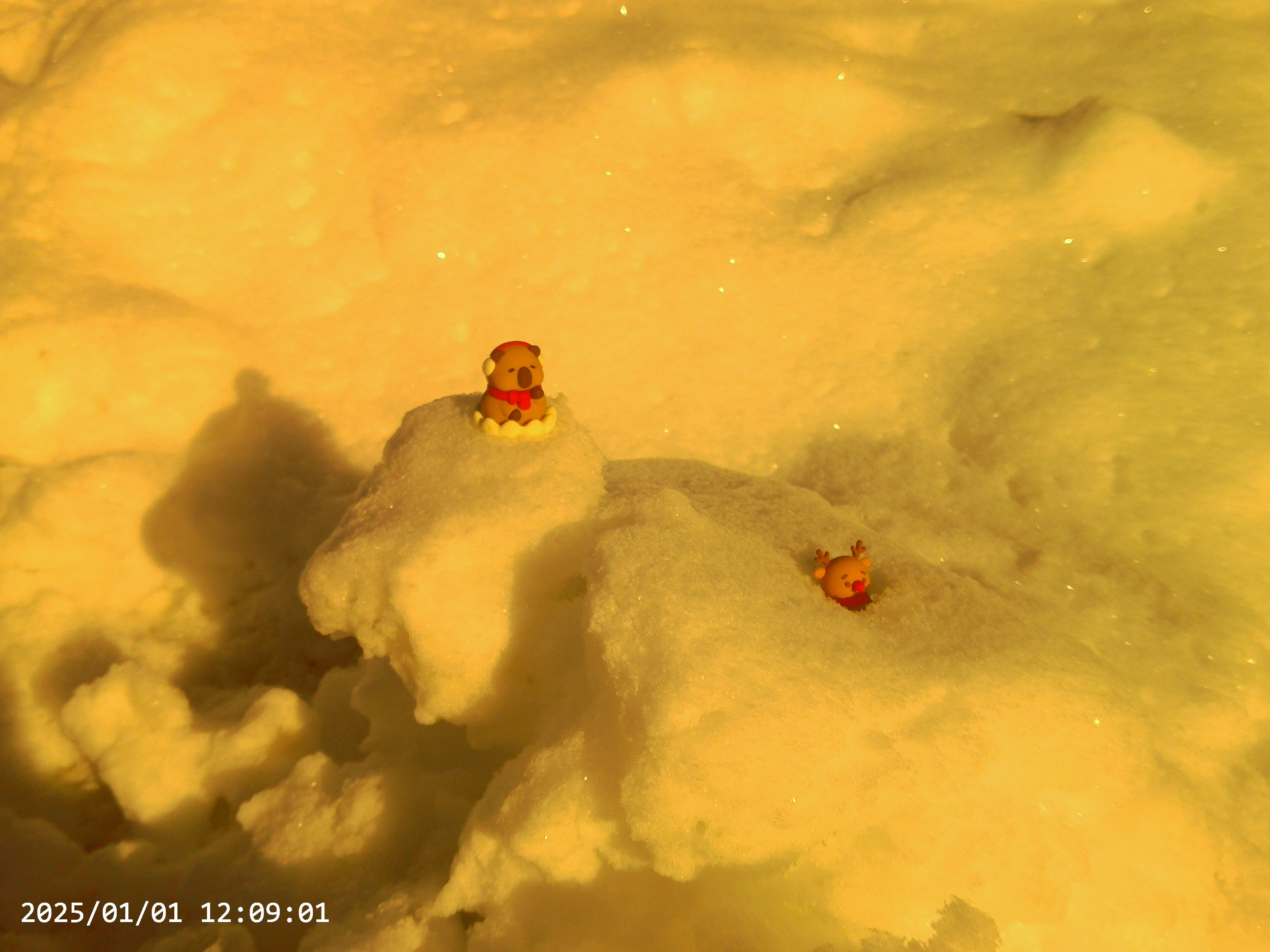 Rechargeable Digital Camera with Selfie Digital Screen