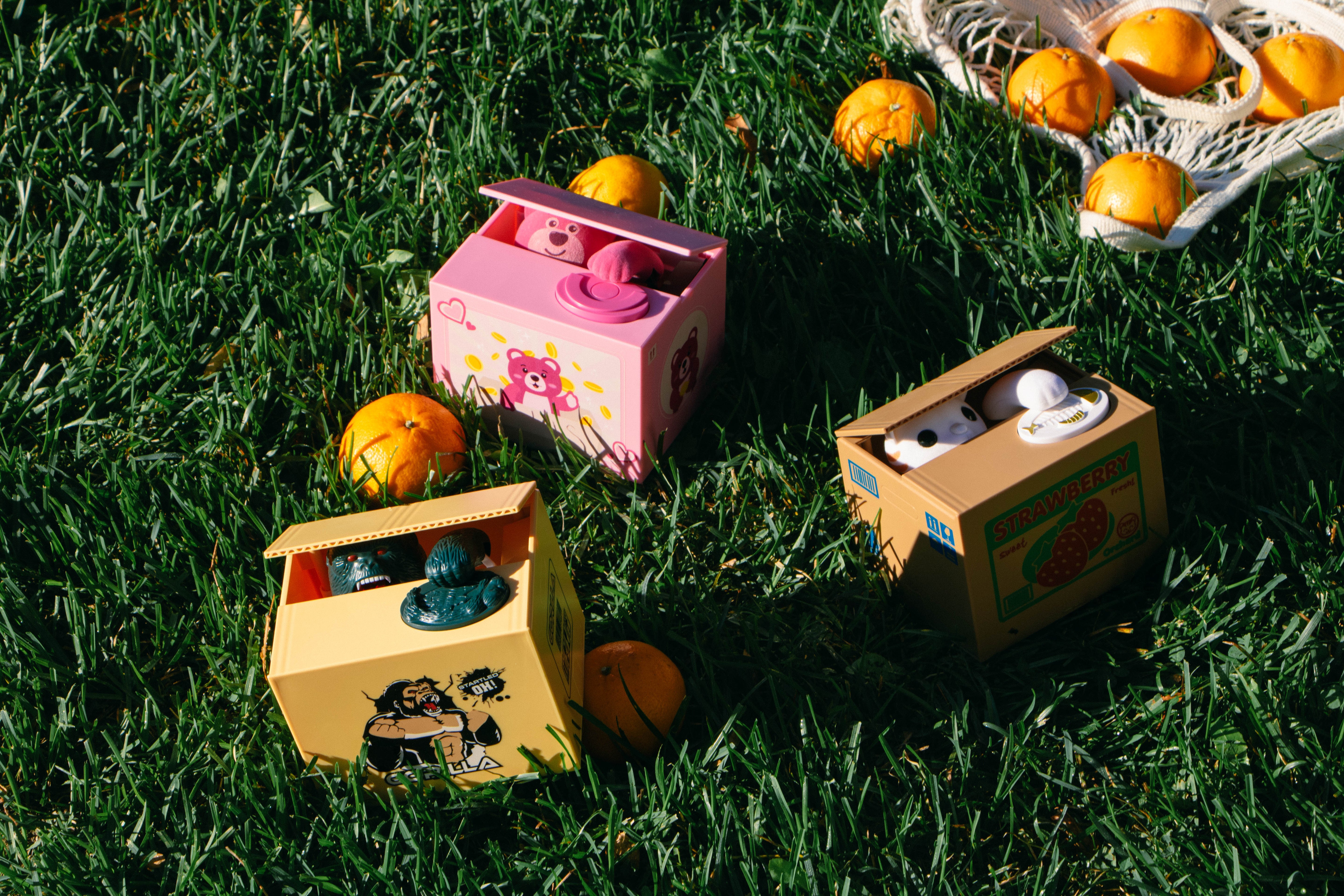 Cat Grabbing Coin Bank