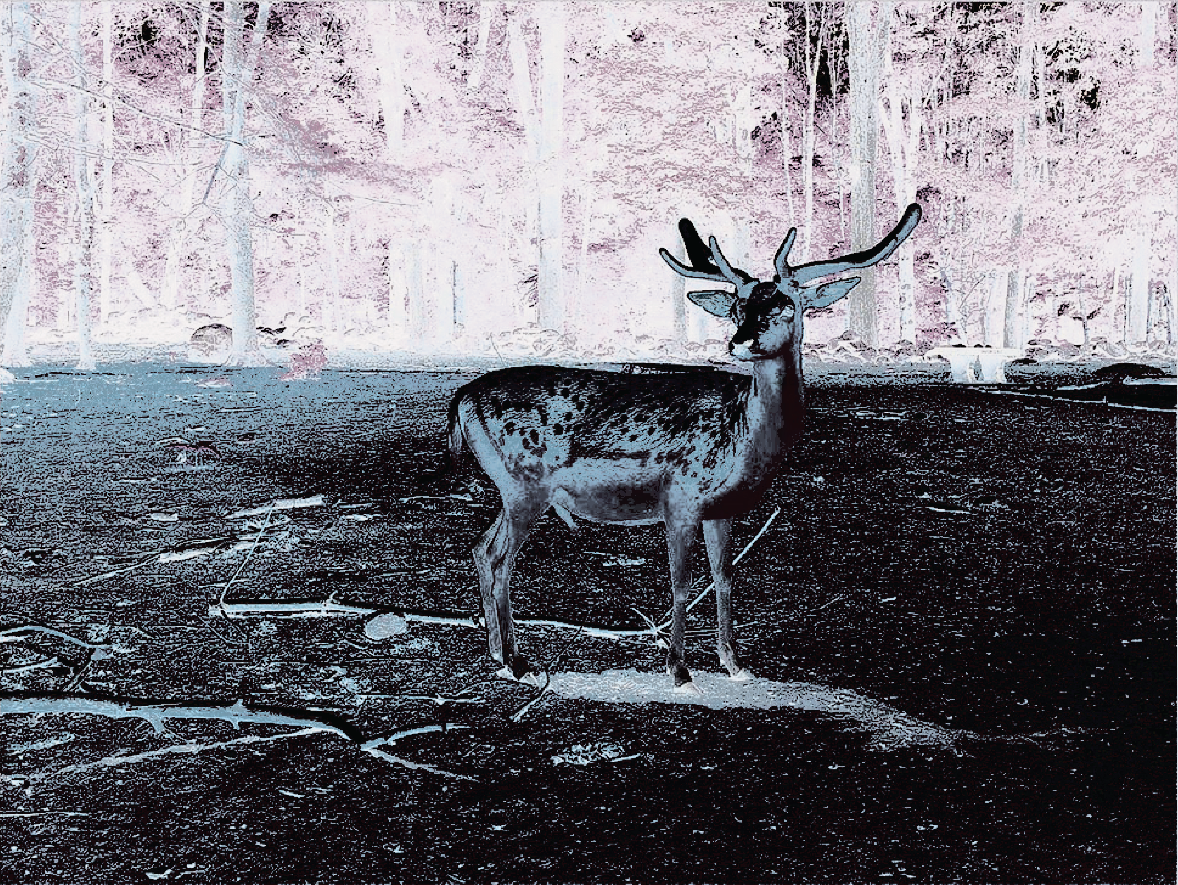 Rechargeable Digital Camera with Selfie Digital Screen